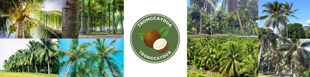 trongcaydua